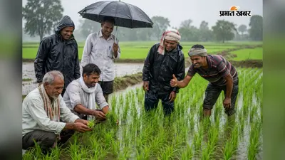 झमाझम बारिश से खिले खगड़िया के किसानों के चेहरे, धान के बिचड़े में लौटी जान, सिंचाई की चिंता हुई दूर