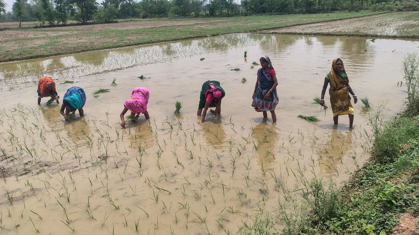 औरंगाबाद में आषाढ़ की फुहार में खो गई बारहमासा की धुन, आधुनिकता की मार से विलुप्त हो रही गांवों की लोक परंपरा