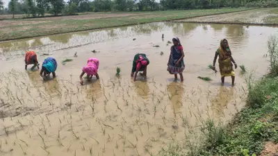 औरंगाबाद में आषाढ़ की फुहार में खो गई बारहमासा की धुन, आधुनिकता की मार से विलुप्त हो रही गांवों की लोक परंपरा