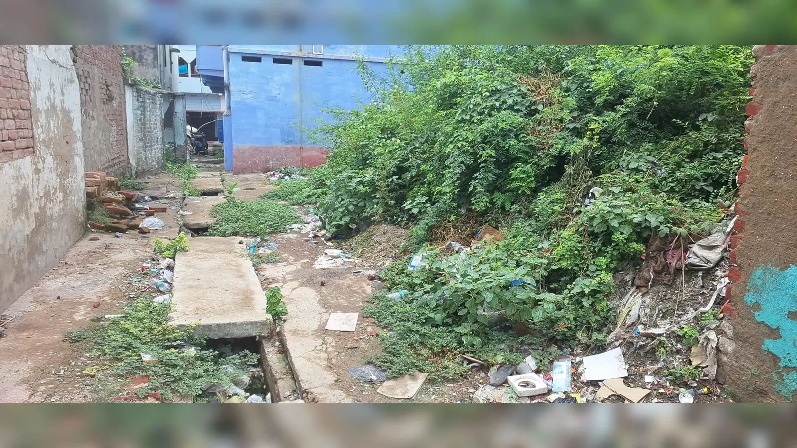 कुरसेला के अयोध्यागंज बाजार की मुख्य सड़क बदहाल: अतिक्रमण से बंद हुआ आवागमन