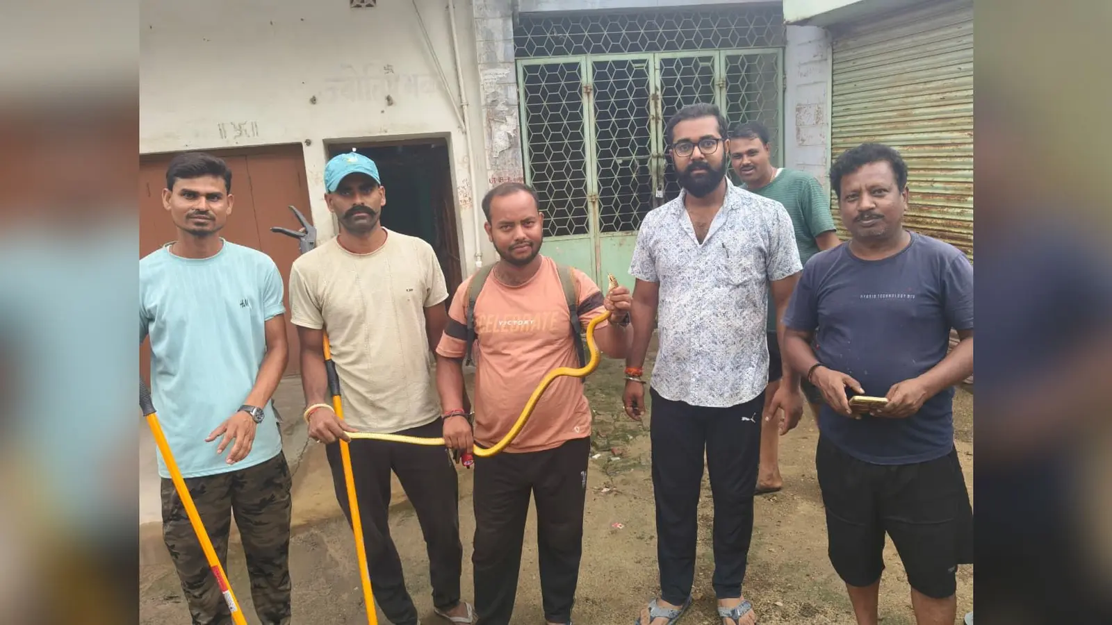 झाझा में 6 फीट लंबे धामन सांप का सुरक्षित रेस्क्यू, वन्यजीव प्रेमियों ने बचाई जान