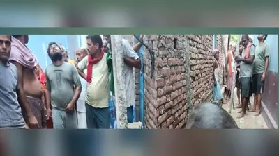 बक्सर में बिजली के पोल में उतरे करंट ने ली बेजुबान की जान, मुआवजे की मांग तेज