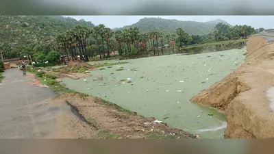 औरंगाबाद: बारिश के बाद इस्लामपुर में जलजमाव से बढ़ी परेशानी, सड़क टूटने और घरों में पानी घुसने का खतरा