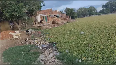 कैमूर: महादलित बस्ती में जलभराव से बढ़ी मुसीबत, ग्रामीणों ने BDO से लगाई गुहार