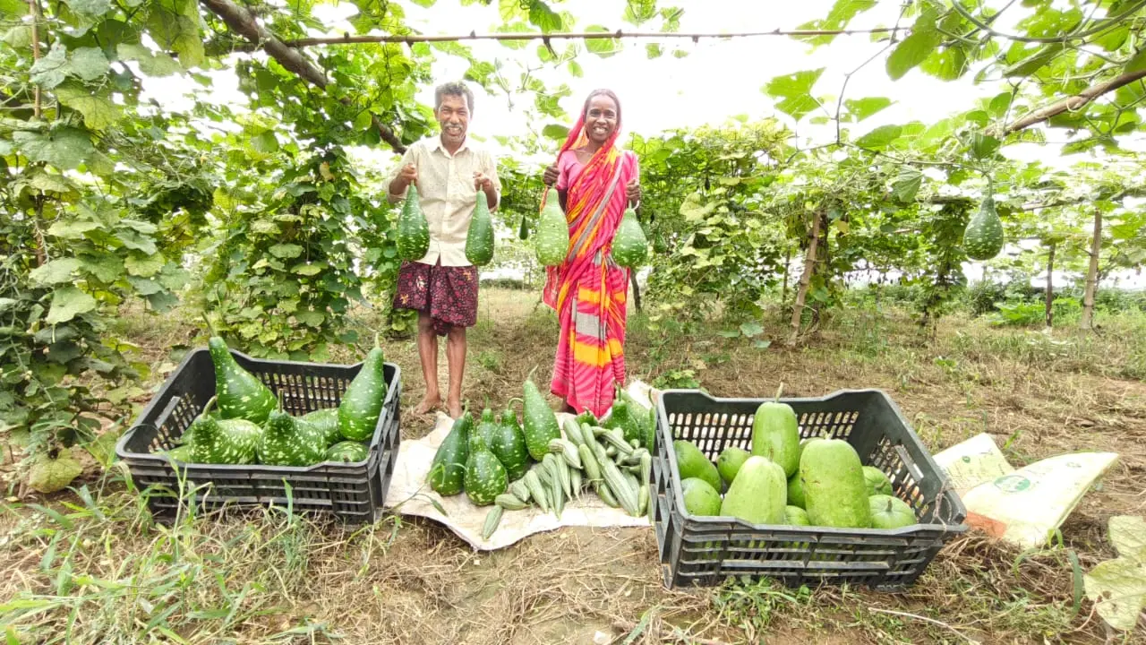 हड़िया बेचकर चलाती थीं घर, अब सब्जी खेती से बनीं आत्मनिर्भर