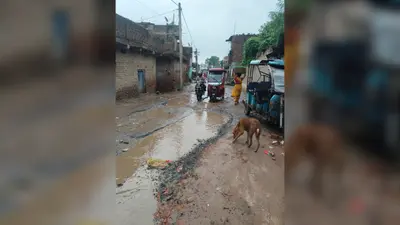 नवादा के अकबरपुर में बरेव-गोविंदपुर सड़क बदहाल, बारिश के बाद गड्ढों में भरा पानी, आवागमन हुआ मुश्किल