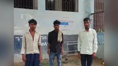आरा : लकड़ी चुनने गई महिला पर गिरा आम का पेड़, मौके पर हुई मौत; बेटी बाल-बाल बची