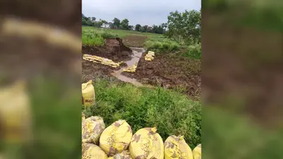 औरंगाबाद: महुअरी नहर का तटबंध टूटा, खरीफ सिंचाई व्यवस्था प्रभावित, युद्धस्तर पर मरम्मत शुरू