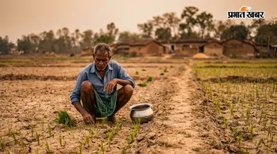झारखंड में बारिश का संकट गहराया, सामान्य से 38% कम वर्षा; सिर्फ 18% क्षेत्र में हुई फसल
