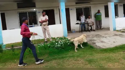 कुक की हत्या में इस्तेमाल हथियार बरामद, अपराधियों को पकड़ने के लिए कई टीमें गठित