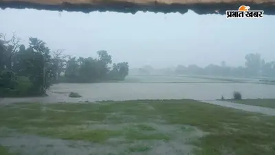 सीवान में झमाझम बारिश से किसानों के खिले चेहरे, धान की रोपनी 50 प्रतिशत के पार