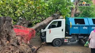 गया जी : शेरघाटी-चेरकी मार्ग पर 100 साल पुराना बरगद का पेड़ गिरा, बाइक सवार घायल, आवागमन ठप