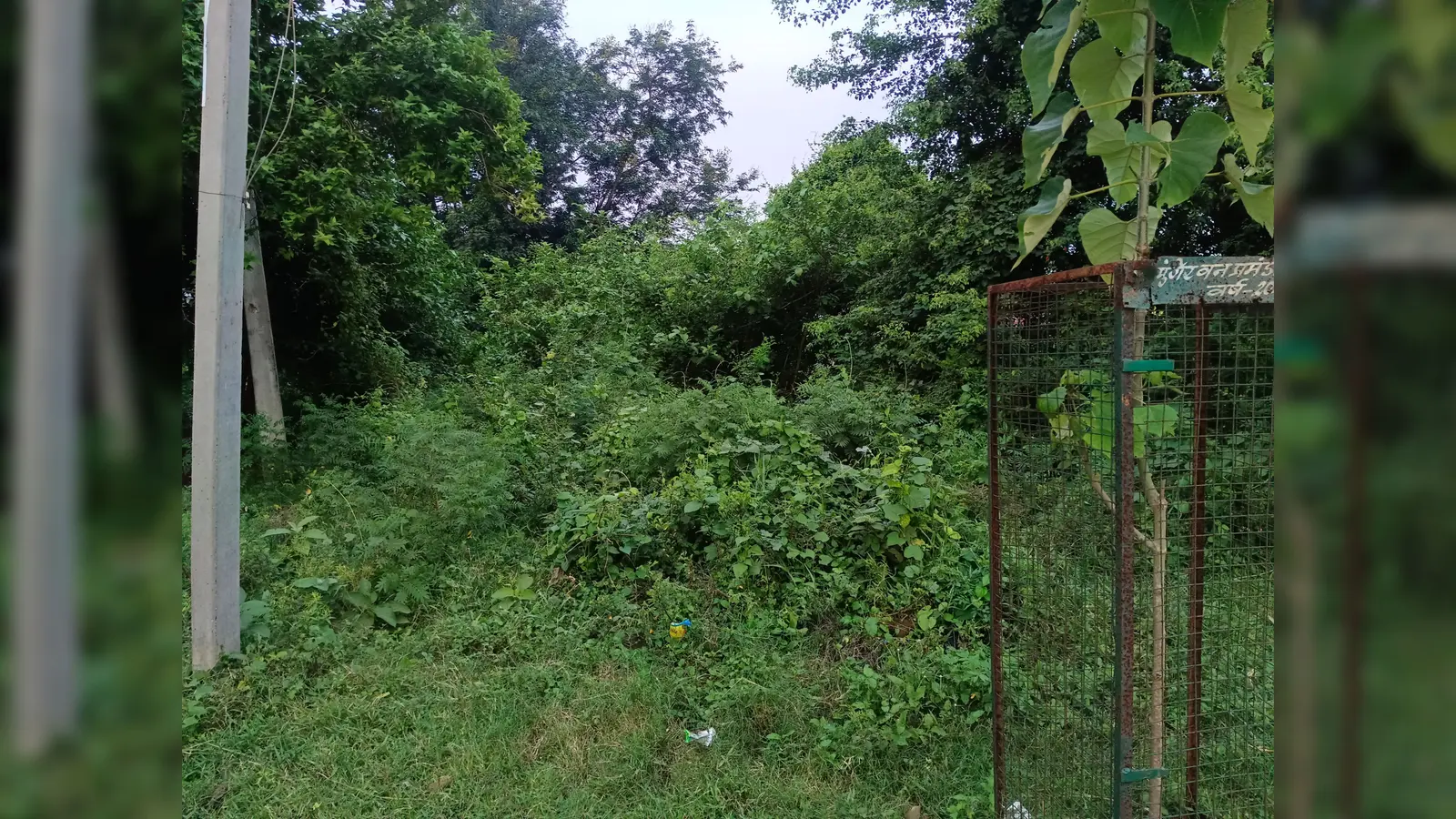 23 साल पहले रखी गई थी नींव, आज तक नहीं बन सका आचार्य नंदलाल बसु कला शोध संस्थान