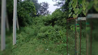 23 साल पहले रखी गई थी नींव, आज तक नहीं बन सका आचार्य नंदलाल बसु कला शोध संस्थान