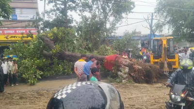 मूसलाधार बारिश में सड़क पर गिरा विशाल बरगद का पेड़, जमुई-मलयपुर मार्ग घंटों रहा बाधित