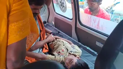 घर में खेल रहे 10 वर्षीय दिलखुश को करैत ने डंसा, सदर अस्पताल से पटना रेफर