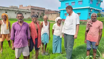नवादा के अकबरपुर में रिमझिम बारिश से किसानों में जगी उम्मीद, धान रोपनी की तैयारी तेज