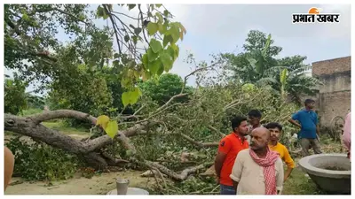 पूजा के दौरान पीपल की डाल गिरने से बड़ा हादसा, दो बच्चों की मौत, आठ घायल