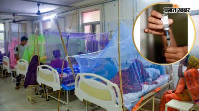 Dengue vaccine: भारत में डेंगू के पहले वैक्सीन QDENGA को मंजूरी, जानिए किसे लगेगा, कैसे करेगा बचाव
