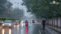शेखपुरा में बारिश से किसानों के चेहरे खिले, धान रोपनी में आई तेजी; घाटकुसुंभा में सबसे ज्यादा बरसात