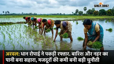 अरवल में धान रोपाई ने पकड़ी रफ्तार, बारिश और नहर का पानी बना सहारा, मजदूरों की कमी बनी बड़ी चुनौती
