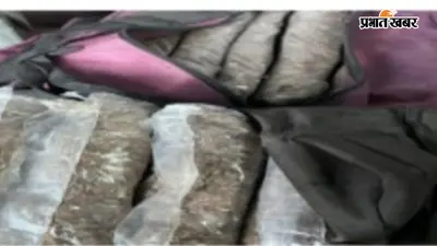 दानापुर रेल थाना क्षेत्र में 30 किलो गांजा बरामद, एसटीएफ और रेल पुलिस ने दो तस्करों को दबोचा