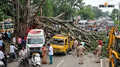 बिहटा-बिक्रम मुख्य मार्ग पर गिरा विशाल पेड़, दो घंटे से यातायात ठप