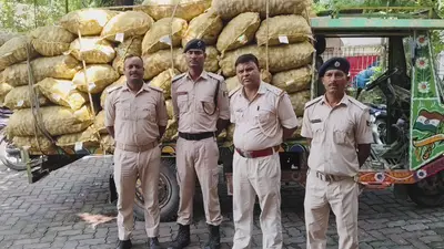 किशनगंज में परिवहन विभाग का बड़ा एक्शन: रामपुर चेकपोस्ट पर आलू लदे 5 अवैध 'जुगाड़ वाहन' जब्त, चालकों में मचा हड़कंप