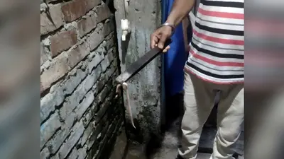 बरसात में बढ़ा सांपों का खतरा: एक सप्ताह में 15 सर्पदंश के मरीज पहुंचे सदर अस्पताल, वन विभाग की रेस्क्यू टीम अलर्ट