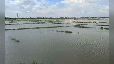 बंजरिया में सिकरहना, बंगरी, तिलावे और दुधौरा नदियों का जलस्तर घटा, लोगों ने ली राहत की सांस