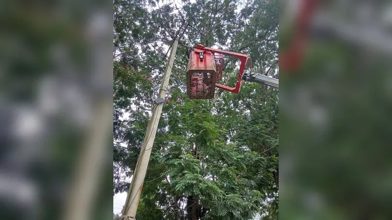 16 घंटे तक बिजली संकट से जूझता रहा शहर कई हिस्से, बारिश में टूटे तार और फॉल्ट से आपूर्ति रही बाधित