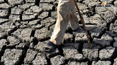 मध्य प्रदेश में बारिश पर ब्रेक! 14% कम बरसे बादल, बादलों की बेरुखी से कई इलाकों में सूखे का संकट