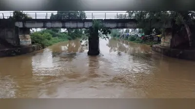औरंगाबाद : कम बारिश में किसानों को राहत, दाउदनगर नहरों के लिए लागू हुई नई रोटेशन व्यवस्था, जानिए कब आपके क्षेत्र में मिलेगा सिंचाई का पानी