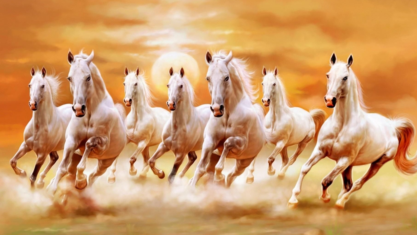 7 Horses Photo