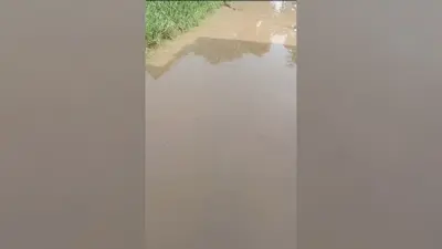 चकमथुरा गांव की सड़क बनी तालाब, जलजमाव से ग्रामीण बेहाल, नाला निर्माण की उठी मांग