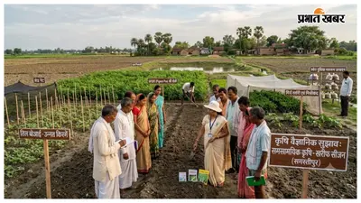 समस्तीपुर: कृषि वैज्ञानिकों ने जारी किए महत्वपूर्ण सुझाव, जानें तिल और अरहर की सही तकनीक
