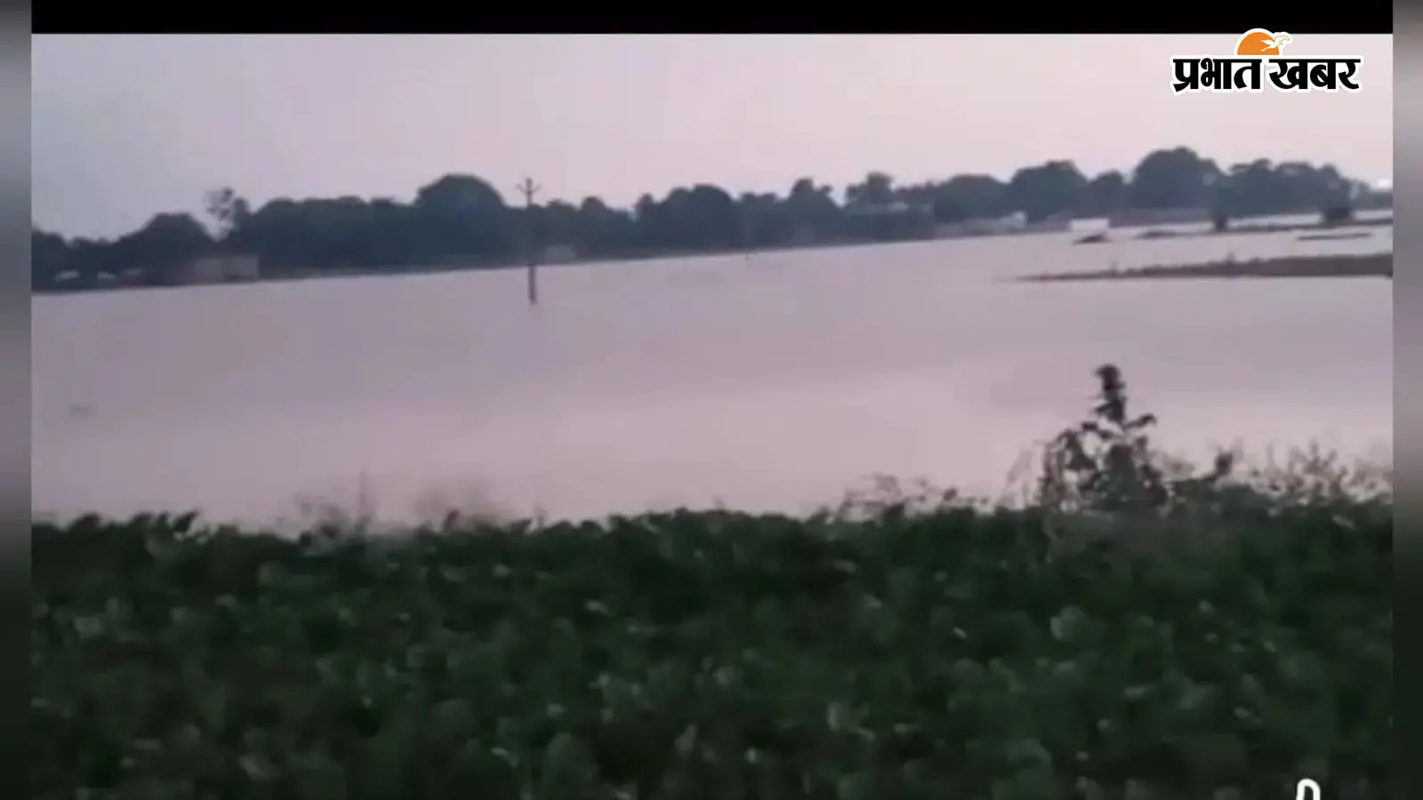लगातार बारिश से कांव नदी उफान पर, सैकड़ों बीघे में लगी धान की फसल जलमग्न