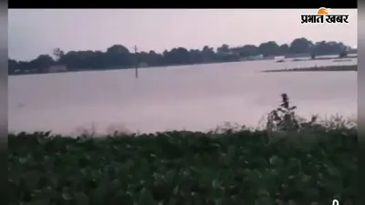 लगातार बारिश से कांव नदी उफान पर, सैकड़ों बीघे में लगी धान की फसल जलमग्न