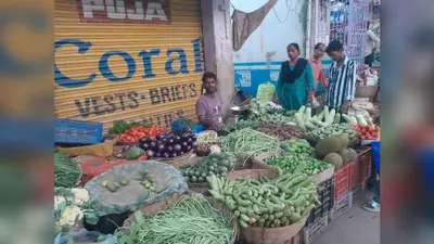 सीवान: बारिश से सब्जी की फसल बर्बाद, 20 रुपये वाली सब्जियां 50 रुपये किलो पहुंचीं; नई फसल पर टिकी किसानों की उम्मीद