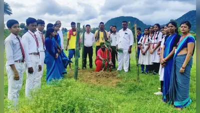 गोला के डीएबी पब्लिक स्कूल बरलंगा में आयोजित किया गया पौधारोपण कार्यक्रम