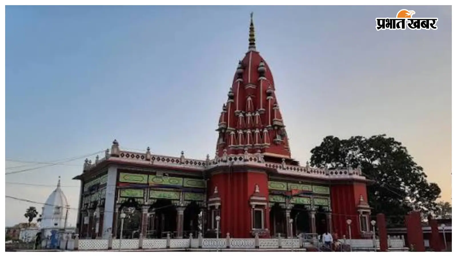 दरभंगा: श्यामा मंदिर में घायल बंदर का आतंक, एक दर्जन से अधिक लोगों को काटा