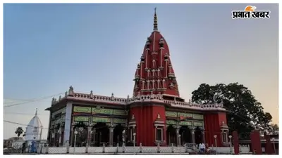 दरभंगा: श्यामा मंदिर में घायल बंदर का आतंक, एक दर्जन से अधिक लोगों को काटा