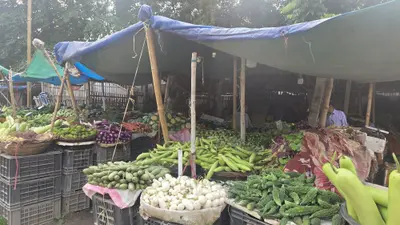 बढ़ती महंगाई से मध्यम वर्ग की टूटी कमर: पेट्रोल-डीजल से लेकर रसोई का बजट बिगड़ा, सब्जियों और तेल के दामों में भारी उछाल