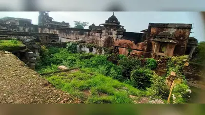 रोहतास किला में सफाई के दावे फेल, अधिकारियों के दौरे के बाद भी झाड़ियां बरकरार; पर्यटकों की सुरक्षा पर खतरा कायम