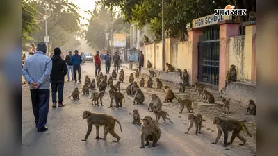 ठाकुरगंज में सड़क पर बंदरों का डेरा, मॉर्निंग वॉक करने वाले लोग परेशान