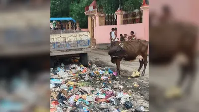 सारण में सावन से पहले बदहाल शिवालयों के रास्ते, जलजमाव और कचरे से श्रद्धालुओं की बढ़ी चिंता