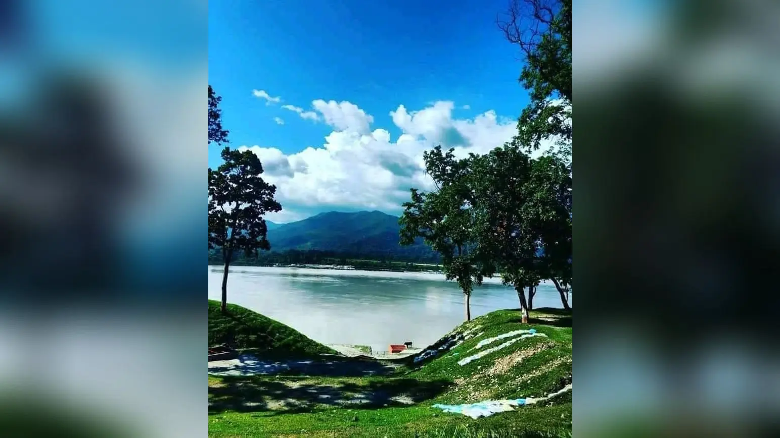 वाल्मीकि टाइगर रिजर्व में नेचर गाइडों की होगी ट्रेनिंग, पर्यटकों को मिलेगा बेहतर जंगल सफारी अनुभव