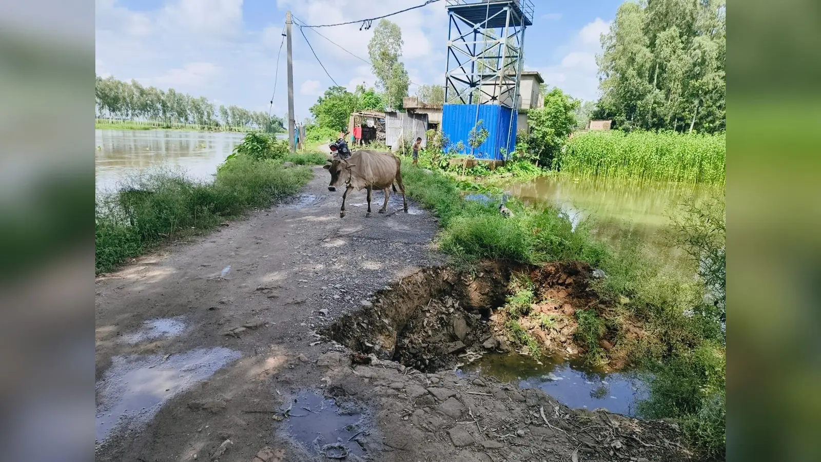 महानंदा नदी के कटाव से मथुरापुर की मुख्य सड़क ध्वस्त, दो वार्डों का संपर्क टूटने का खतरा