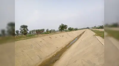 गया जी : धान रोपनी के बीच गुरुआ के किसान परेशान, उत्तर कोयल नहर में अब तक नहीं पहुंचा पानी