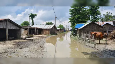 शेखपुर चमन मार्ग पर एक फीट पानी से आवागमन ठप, ग्रामीणों ने जलनिकासी की उठाई मांग